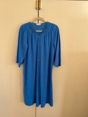 Blue Nightgown
